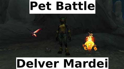 Delver Mardei Pet Battle Wow Dragonflight YouTube