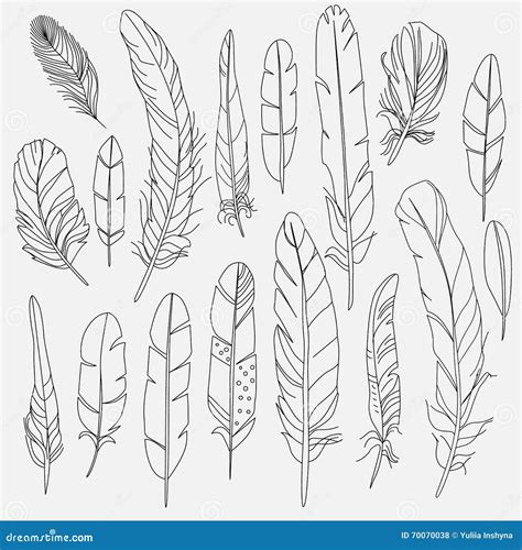 Set Handdrawn Feathers Stock Vector Illustration Of Icon