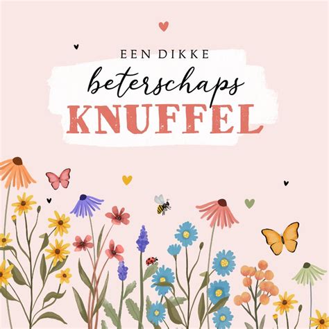 Beterschapskaart Wilde Bloemen Kleurrijk Kaartje2go