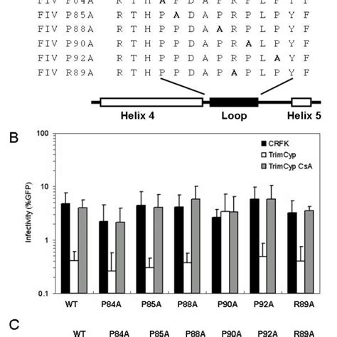 Cypa Ca Interaction In Sivmac Hiv And Sivagmtan A Sequence