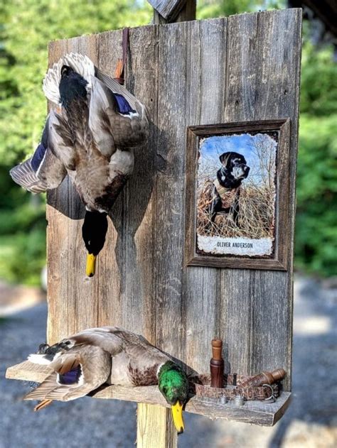 Mallard Taxidermy Mounts Duck Mounts Stehlings Taxidermy