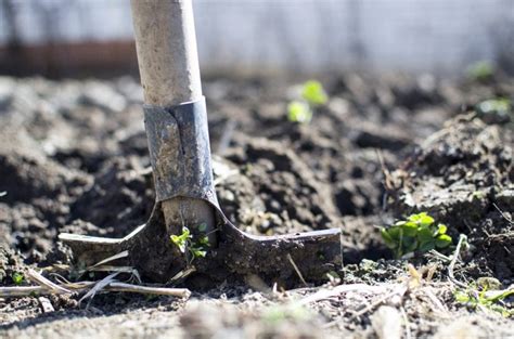 Snail Fence How To Effectively Protect Your Plants Gardeninguru