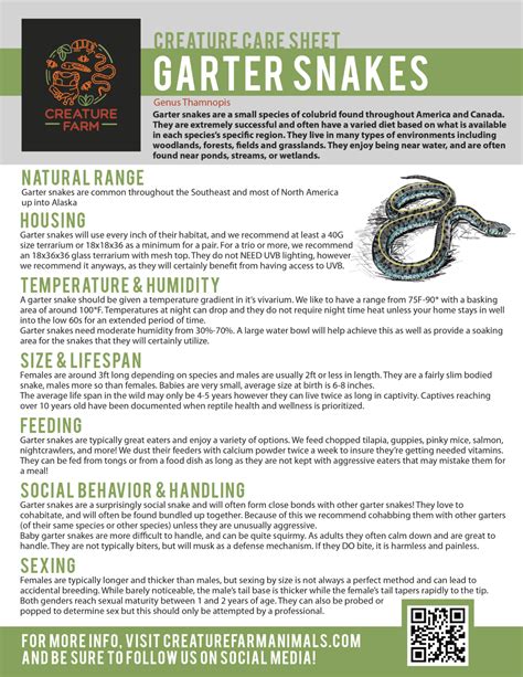 Garter Snake Care Creature Farm