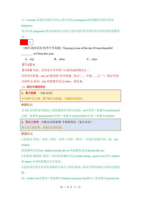 名词（可数名词变复数、名词所有格、词义辨析、词性转换） 2024年中考英语学霸必刷子母题（含参考答案）21世纪教育网 二一教育