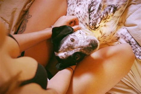 Amateur Lovers Amateur Pic Porn Pic