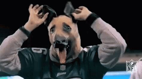 Dog Mask Eagles GIF - Dog Mask Eagles - Discover & Share GIFs