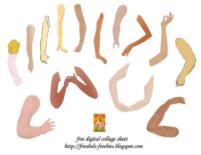 Freubels Freebies Bodyparts Free Collage Collage Sheet Digital