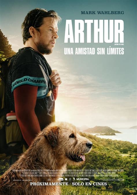 Sección visual de Arthur FilmAffinity