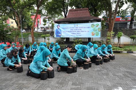 Peringati Hkg Ke Tp Pkk Jateng Tanam Ratusan Bibit Cabai