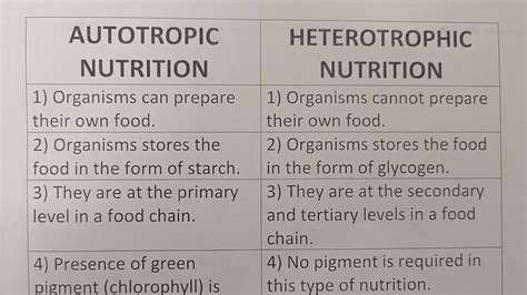 Difference Between Autotrophic Nutrition And Heterotrophic, 47% OFF