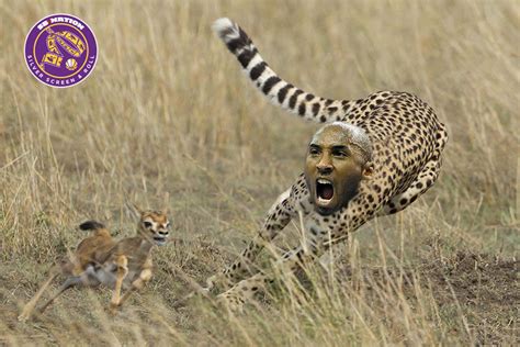 Kobe Bryant used cheetah tail as inspiration for fadeaway jumper ...