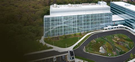 Stony Brook Cancer Center | Stony Brook Cancer Center