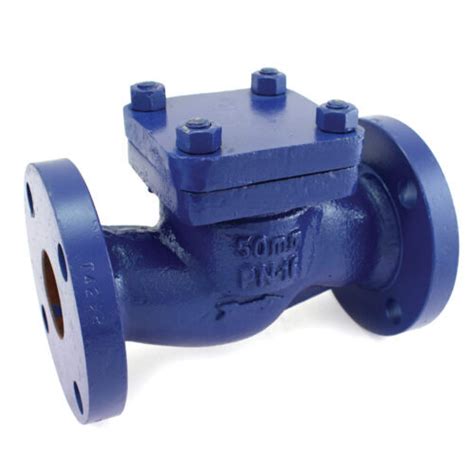 Cast Iron Horizontal Lift Check Valve Flanged Ends Pn Application