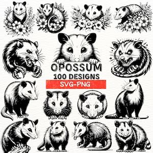 Opossum Svg Bundle Cute Creepy Opossum Clipart Floral Possum Designs