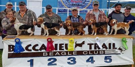 Baccalieu Beagle Club September 7 8 2019 Canadian Beagler