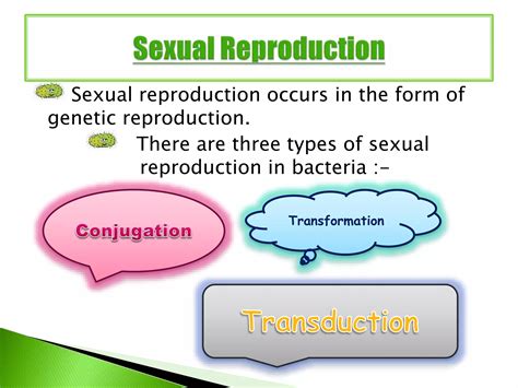 Sexual Reproduction In Bacteria | PPTX