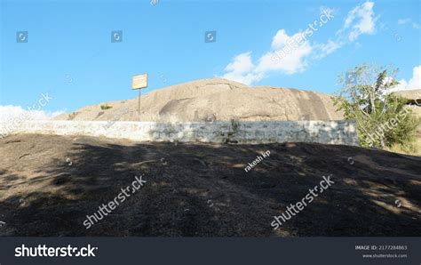 56 Bangalore Doodle Stock Photos Images And Photography Shutterstock
