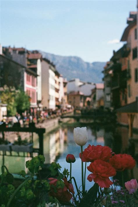 irresistible french cities  add   travel bucket list