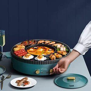 Lp Living Plus In Electric Grill And Hot Pot Combo Dual Temperature Indoor Non Stick