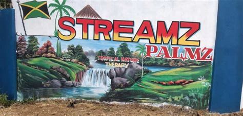 discovering streamz palmz  hidden gem  clarendon park jamaica