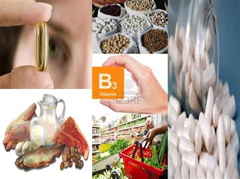 Nutricion Vitamina B O Niacina Metabolismo Y Eliminacion