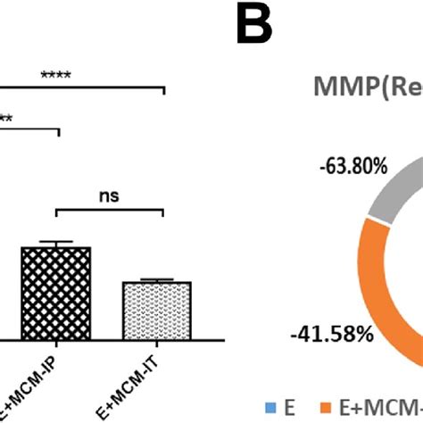 A Analysis Of The Mitochondrial Membrane Potential Mmp Of