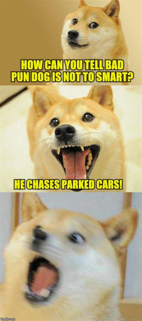 Pun Dog Meme