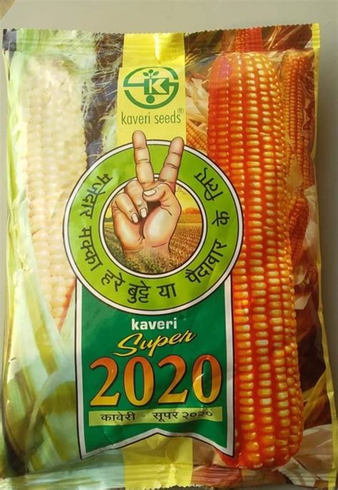 Yellow Hybrid Maize Seeds Kaveri Packaging Type Piuch Packaging