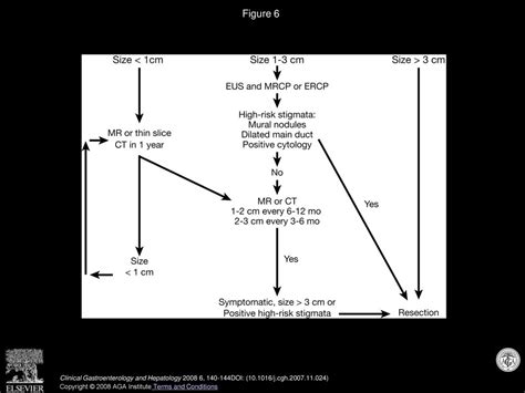 The Incidental Pancreatic Cyst On Abdominal Computerized Tomography