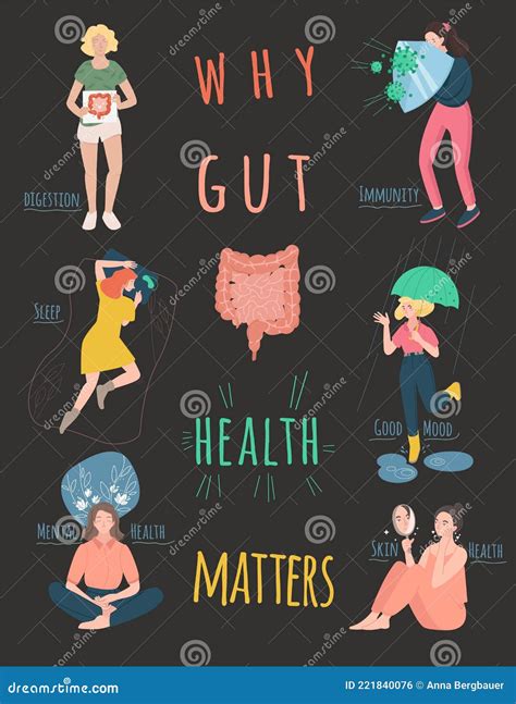 Why Gut Health Matters Vertical Vector Poster Stock Vector