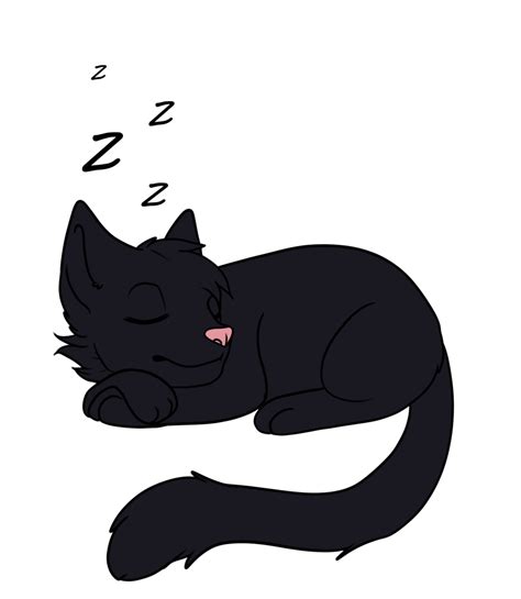 Black Cat Sleeping