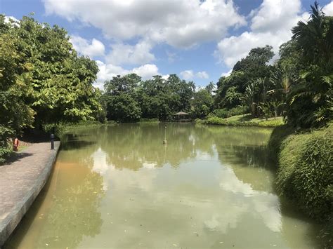 Symphony Lake Singapore Botanic Gardens Matt Robinson Flickr