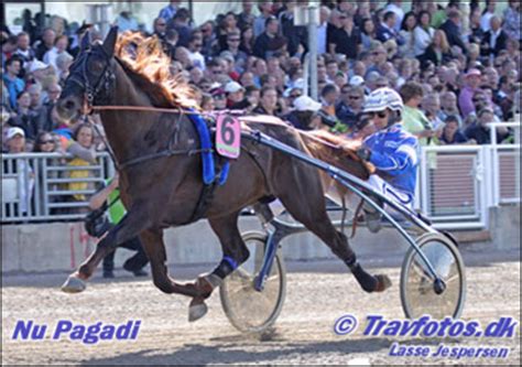 Nu Pagadi Wins Copenhagen Cup | Standardbred Canada