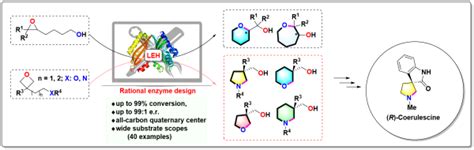 天津工生所等在环氧水解酶计算设计合成手性杂环化合物方面取得进展 中国科学院