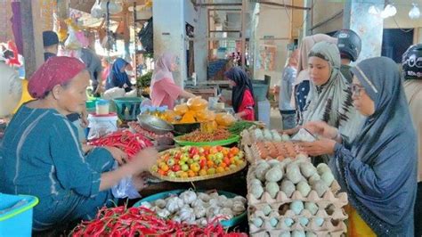 Warga Ngeluh Harga Tomat Menggila Di Majene Tembus Rp 26 Ribu Per