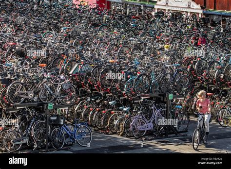 The Netherlands Amsterdam Central Station Bicycle Storage Or Parking