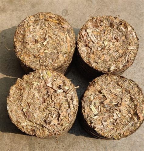 90mm Mustard Husk Biomass Briquette For Boiler And Cooking Fuel At Rs