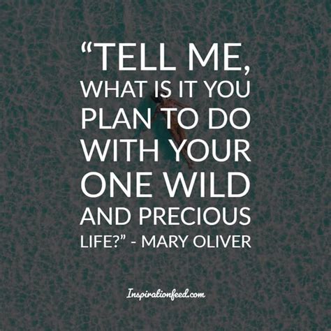 30 Beautiful Mary Oliver Quotes About Life Love And Despair