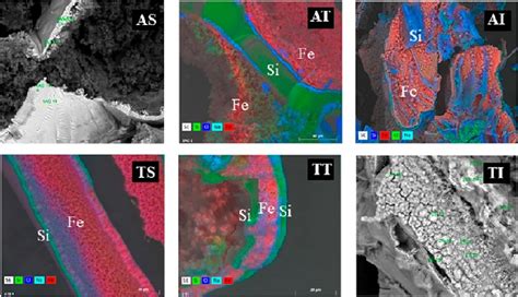 EDX Microanalysis Graphs And Mappings Of Samples Formed With Arginine