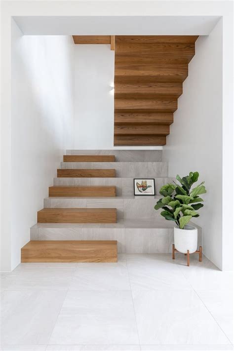 There Is A Potted Plant On The Floor Next To Some Stairs In This House