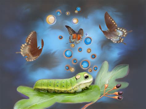 Download Nature Caterpillar Butterfly Animal Artistic Art