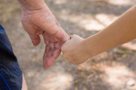 Grandfather Holding His Granddaughter Hand In The Forest Stock Image Image Of Closeup