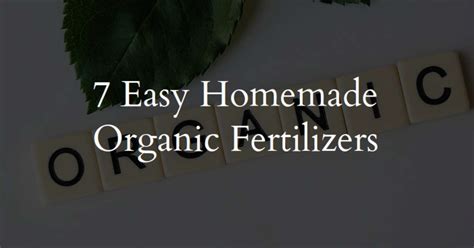 7 Easy Homemade Organic Fertilizers For Your Plants Mountain Top Seed