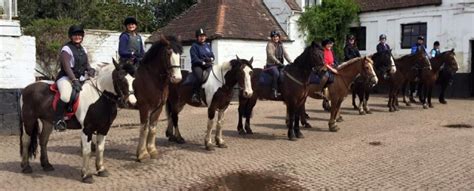 Gallery Warwick International School Of Riding