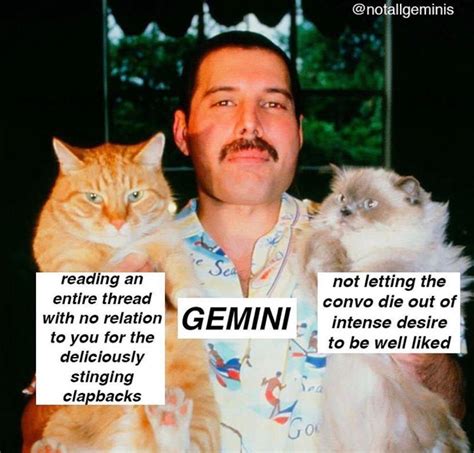 15 Gemini Season Memes To Wish Your Favorite Air Sign A Happy Birthday