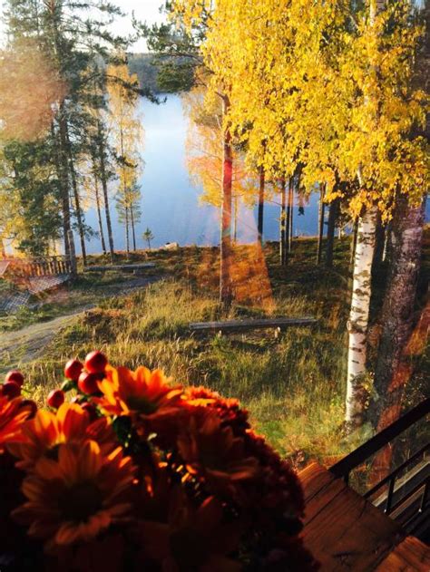 Rautalampi, Finland 2024: All You Need to Know Before You Go - Tripadvisor