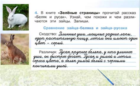Книга зеленые страницы 2 класс окружающий мир беляк и русак сходство ...