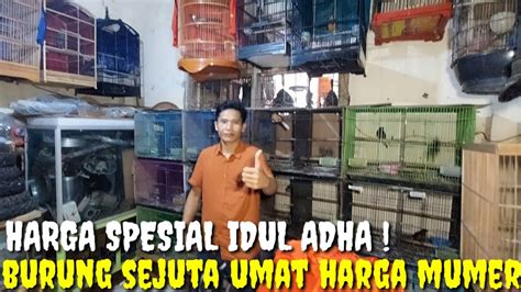 Jual Pasrah Harga Mumer Dan Di Bawah Pasaran Burung Sejuta Umat Youtube