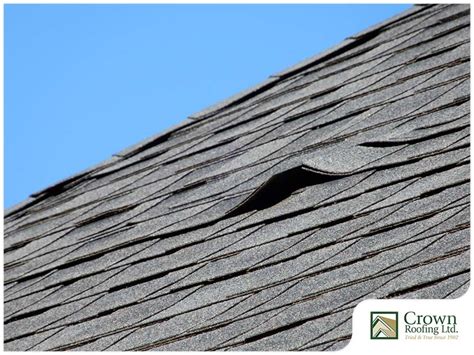 Blisters On Asphalt Shingles Causes Fixes And Prevention