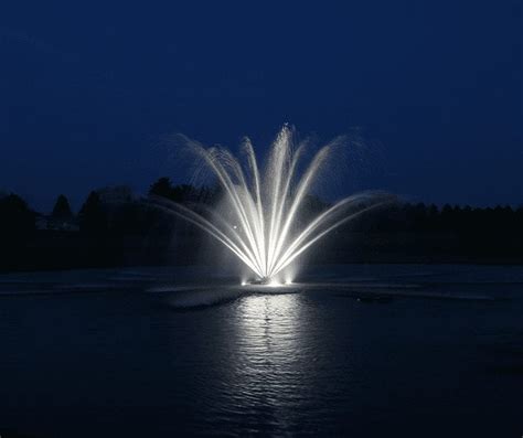 Eagle Floating Lake Fountain | Masters Series | Lake Fountains | UK